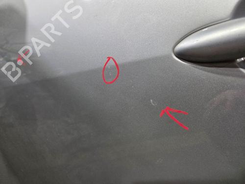 Left front door RENAULT SCÉNIC III (JZ0/1_) 1.2 TCe | BP30875309C2