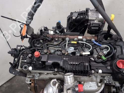 Engine FORD TRANSIT CUSTOM V362 Van (FY, FZ) 2.0 EcoBlue | BP31829360M1 