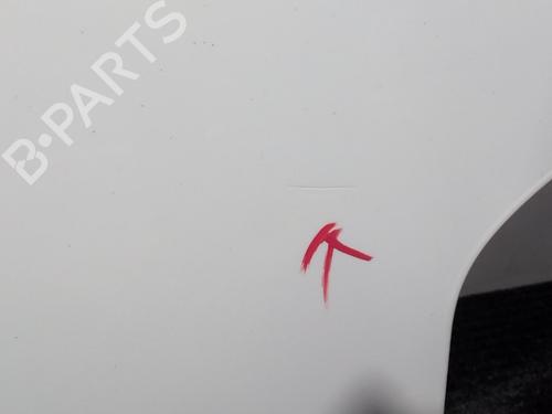 Dør venstre foran FORD TRANSIT CUSTOM V362 Van (FY, FZ) 2.2 TDCi | BP29539820C2 