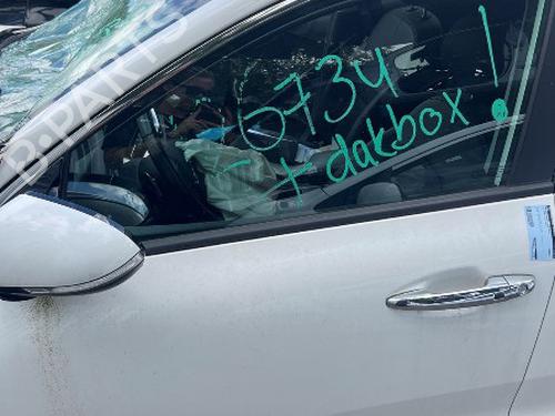 Dør venstre fortil Dør venstre fortil KIA NIRO I (DE) 1.6 GDI Plug-in Hybrid (141 hp) 33286385 33286385