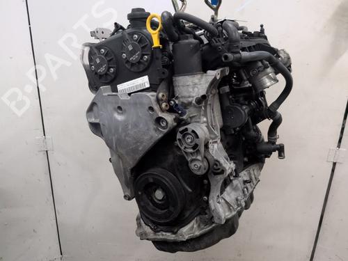 Engine VW GOLF VIII (CD1, DA1) 2.0 GTI | BP29539832M1