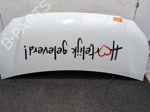 Motorhjelm Motorhjelm NISSAN INTERSTAR Van (X62B) dCi 165 RWD (163 hp) 33956248 33956248