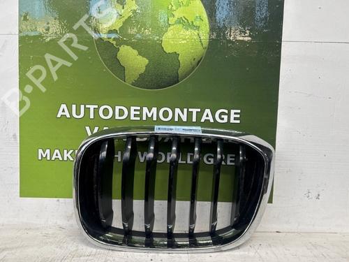 grille-bmw-x3-g01-f97-g08-2017-26044613 main image