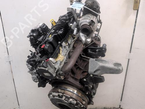 Used Engine FORD TRANSIT V363 Van (FCD, FDD) 2.0 EcoBlue RWD (130 hp) 29539847