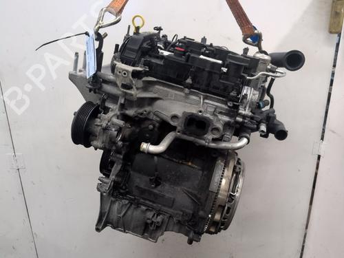 Motor FORD FIESTA VI (CB1, CCN) 1.0 (65 hp) 29539873