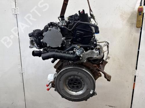 Gearbox FORD FOCUS IV Turnier (HP) 1.0 EcoBoost mHEV | BP40450426M3 - Image 3