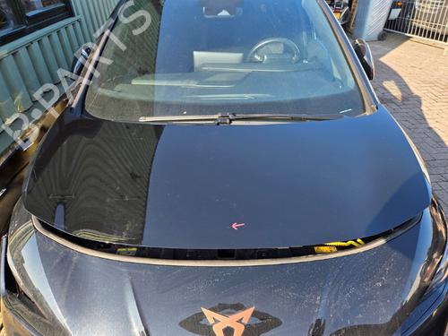 Panser CUPRA BORN (K11) 63 (231 hp) 32846624