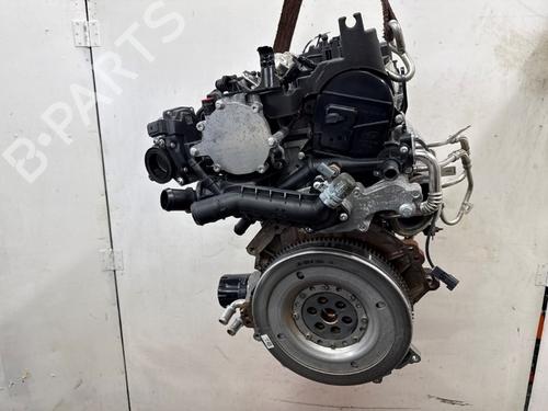 Used Engine Engine FORD FIESTA VII (HJ, HF) 1.0 EcoBoost mHEV (125 hp) 40450457 40450457