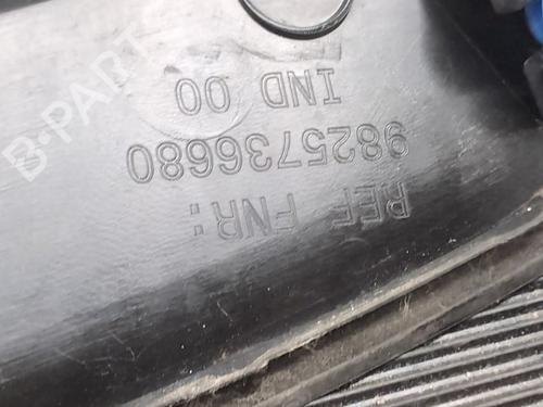 Wheel arch trim PEUGEOT 2008 II (UD_, US_, UY_, UJ_, UR_, UC_) 1.2 PureTech 100 (USHNK) | BP27817842C116 