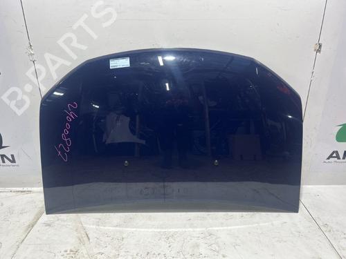 Used Hood DACIA SANDERO II TCe 90 (B8M1, B8MA, B8AC) (90 hp) 26045655