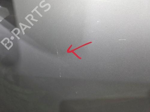 Left front door RENAULT SCÉNIC III (JZ0/1_) 1.2 TCe | BP30875309C2