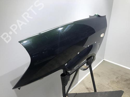 Left front fenders HYUNDAI TUCSON (JM) 2.0 All-wheel Drive | BP27225777C41 