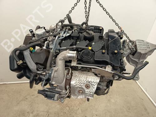 Engine HONDA CIVIC X Hatchback (FC_, FK_) 1.0 VTEC | BP39657274M1 - Image 2