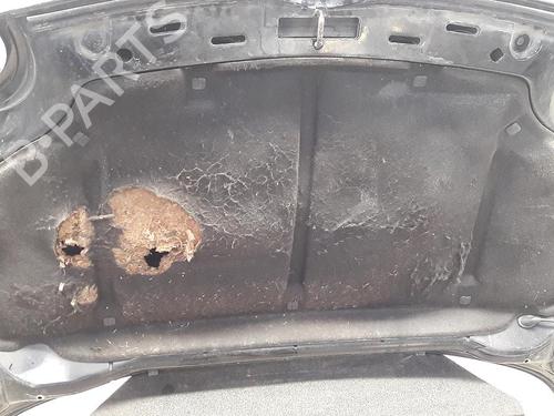 Hood VW LUPO I (6X1, 6E1) 1.4 16V | BP27227064C1 