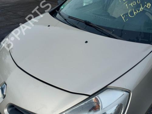 Hood RENAULT CLIO III (BR0/1, CR0/1)  | BP27230833C1 