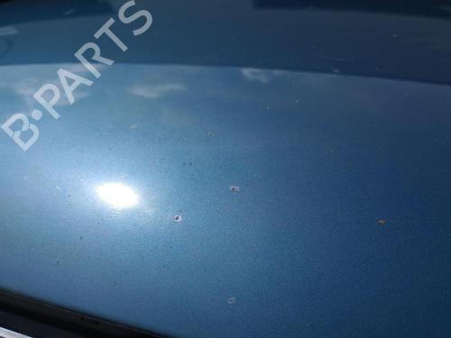 Hood AUDI A6 C6 Avant (4F5) 3.2 FSI quattro | BP27231179C1 