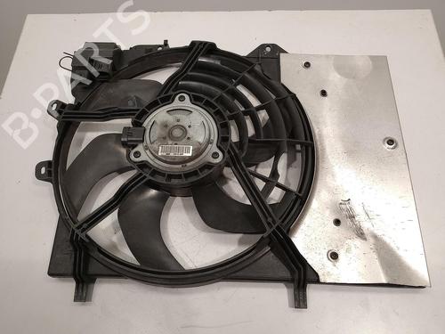 radiator-fan-citroen-c3-ii-sc_-2009-32733368 main image