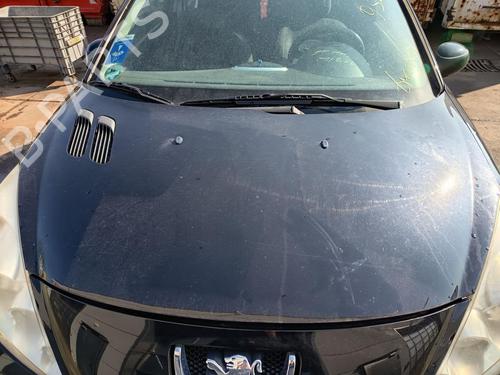 Used Hood Hood PEUGEOT 206+ (2L_, 2M_) 1.1 (60 hp) 33275241 33275241