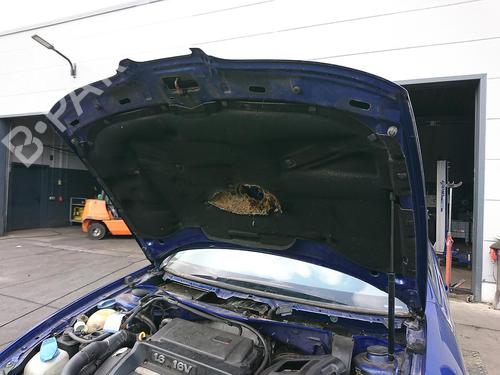 Motorhjelm SEAT TOLEDO II (1M2) 1.6 16V | BP27229370C1 