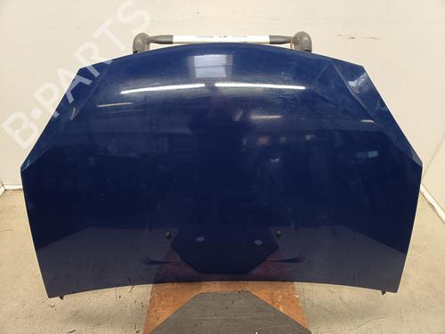 Used Hood Hood DACIA SANDERO 1.4 (BS0C, BS0A, BS0G, BS1F, BS0E) (75 hp) 35916981 35916981