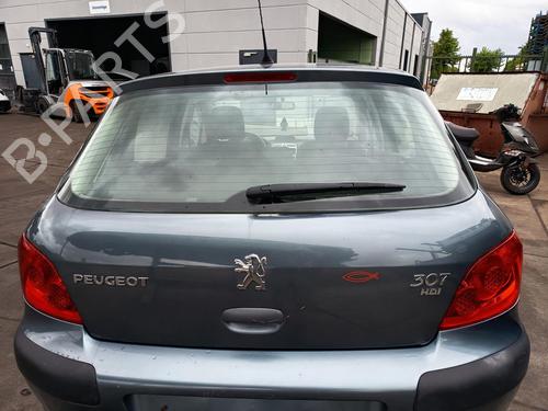 Used Tailgate Tailgate PEUGEOT 307 (3A/C) 1.6 HDi 110 (109 hp) 32761305 32761305