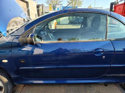 Used Left front door Left front door PEUGEOT 206 CC (2D) 1.6 16V (2DNFUF, 2DNFUR) (109 hp) 34195722 34195722