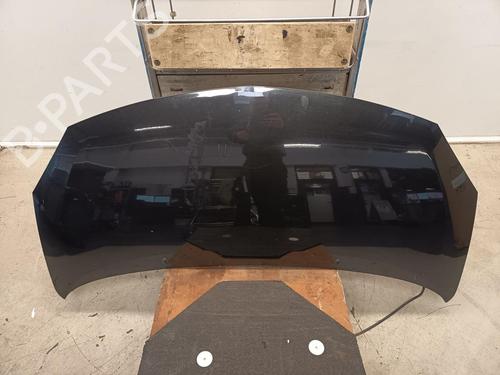 Used Hood Hood RENAULT TWINGO II (CN0_) 1.2 16V (CN04, CN0B) (75 hp) 35916832 35916832