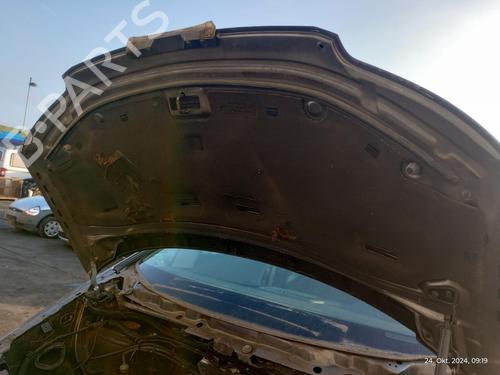 Hood SEAT ALHAMBRA (7V8, 7V9) 1.9 TDI | BP27231963C1 