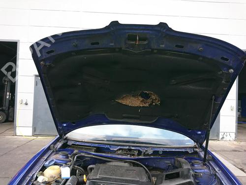 Motorhjelm SEAT TOLEDO II (1M2) 1.6 16V | BP27229370C1 