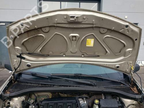 Hood RENAULT CLIO III (BR0/1, CR0/1)  | BP27230833C1 