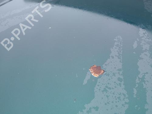 Hood BMW 3 Compact (E36) 316 i | BP27233421C1