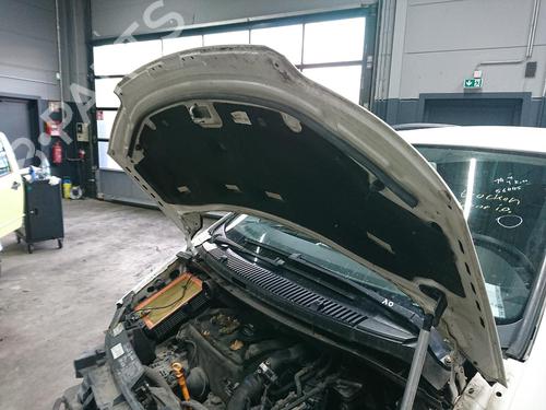 Hood VW SHARAN (7M8, 7M9, 7M6) 1.9 TDI | BP27228126C1 