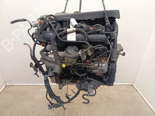 Engine OPEL MERIVA B MPV (S10) 1.7 CDTI (75) | BP38602687M1 - Image 6