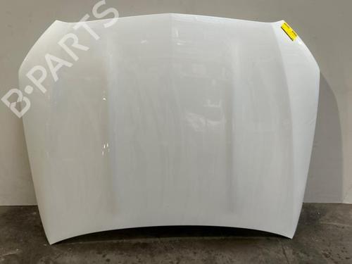 Used Hood Hood 38822502 38822502