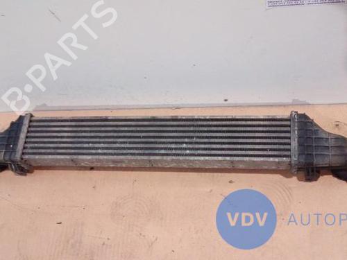 Intercooler MERCEDES-BENZ E-CLASS (W211) E 220 CDI (211.006) | BP25944780M30 