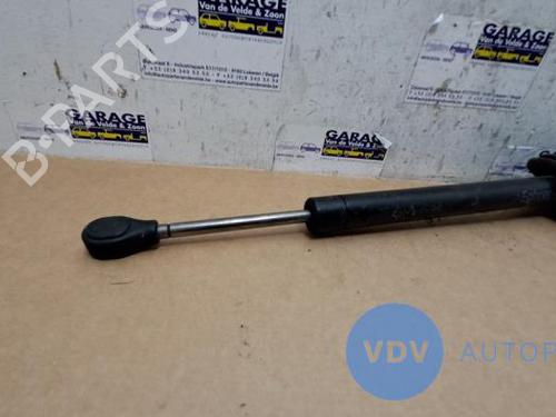 Hinge/Door check strap MERCEDES-BENZ S-CLASS (W221, V221) S 350 CDI 4-matic (221.080, 221.081) | BP25956302C146 