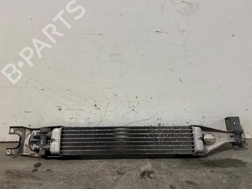 oil-radiator-mercedes-benz-m-class-w164-2005-2006-2007-2008-2009-2010-2011-2012-38820426 main image