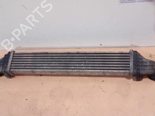 Intercooler MERCEDES-BENZ E-CLASS (W211) E 220 CDI (211.006) | BP38854256M30 - Image 2