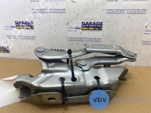Hinge/Door check strap MERCEDES-BENZ A-CLASS (W169) A 160 (169.031, 169.331) | BP25952679C146 