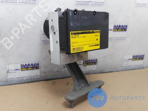 Module électronique MERCEDES-BENZ SLK (R171) 200 Kompressor (171.442) (163 hp) 25943142