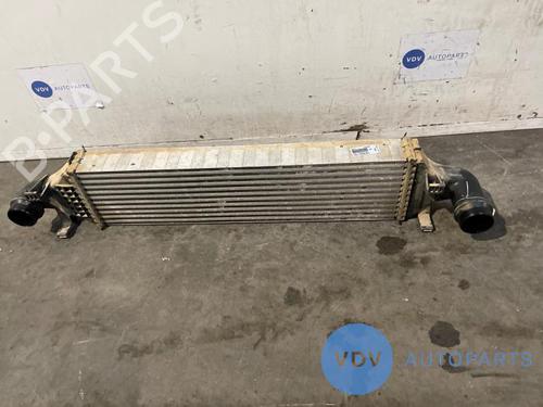 Used Intercooler MERCEDES-BENZ A-CLASS (W176) A 200 CDI / d 4-matic (176.002) (136 hp) 25972732