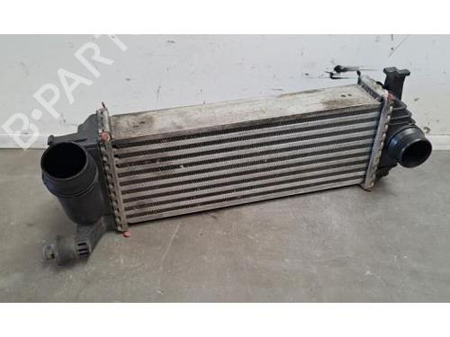 Used Intercooler Intercooler MERCEDES-BENZ CITAN Box Body/MPV (W415) 108 CDI (415.601, 415.603) (75 hp) 38841852 38841852