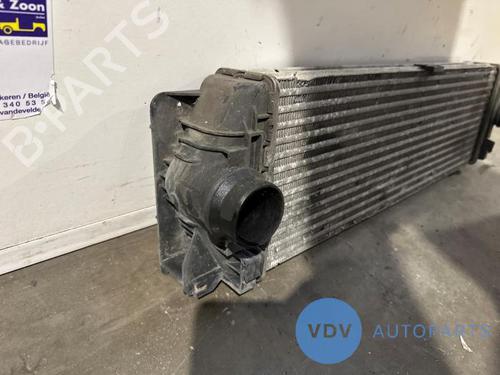 Intercooler MERCEDES-BENZ SPRINTER 3,5-t Bus (B906) 315 CDI (906.731, 906.733, 906.735) | BP25956821M30 