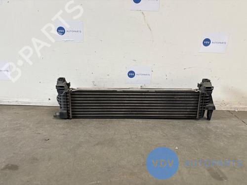 Used Intercooler MERCEDES-BENZ VITO Van (W447) 111 CDI (447.601, 447.603, 447.605) (114 hp) 25962246
