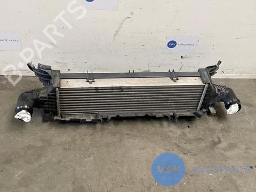 Used Intercooler MERCEDES-BENZ E-CLASS (W212) E 220 CDI / BlueTEC (212.001, 212.002) (170 hp) 25961009