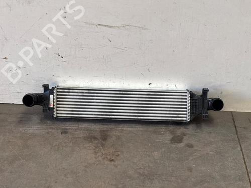 Used Intercooler Intercooler MERCEDES-BENZ /8 Coupe (W114) 280 CE (114.072) (185 hp) 40289490 40289490
