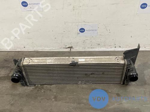 Used Intercooler MERCEDES-BENZ SPRINTER 3,5-t Platform/Chassis (B906) 313 CDI 4x4 (906.131, 906.133, 906.135, 906.231, 906.233... (129 hp) 25967703