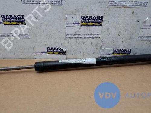 Used Hinge/Door check strap MERCEDES-BENZ S-CLASS (W221, V221) S 350 CDI 4-matic (221.080, 221.081) (211 hp) 25956327