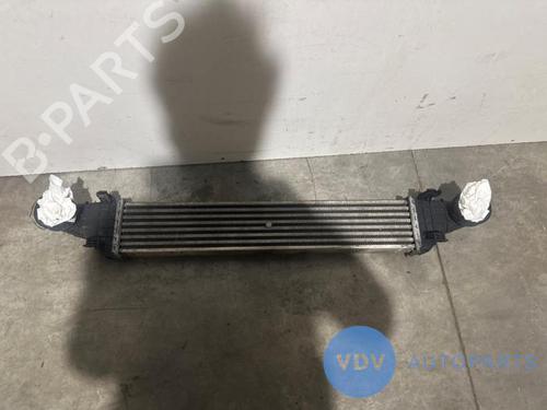 Intercooler MERCEDES-BENZ E-CLASS (W211) E 200 CDI (211.004) | BP25974324M30 