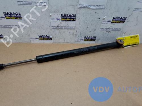 Used Hinge/Door check strap MERCEDES-BENZ S-CLASS (W221, V221) S 350 CDI 4-matic (221.080, 221.081) (211 hp) 25956313